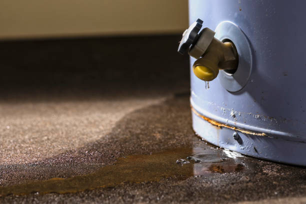 Water damage restoration insurance claims in Northview, MI