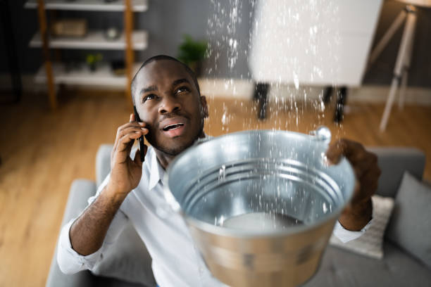 Best Carpet water damage restoration  in Northview, MI