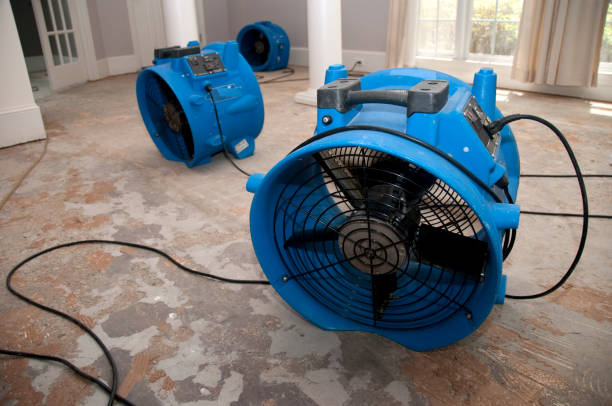 Water damage restoration process in Northview, MI