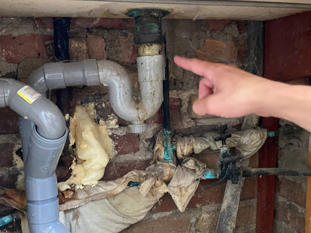 Best Water damage cleanup near me  in Northview, MI