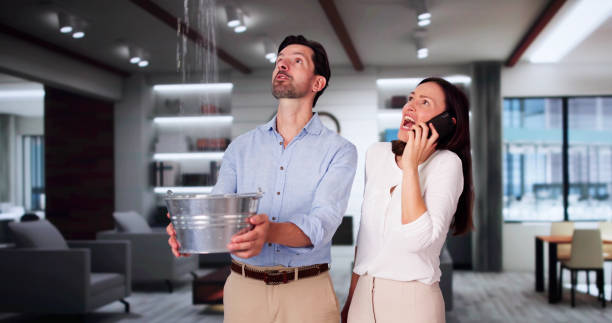 Best 24-hour water damage restoration  in Northview, MI